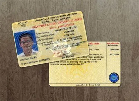 Giấy phép lái xe A2 là gì?